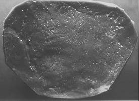 spec-ro-9711-2-3.jpg (14405 bytes)